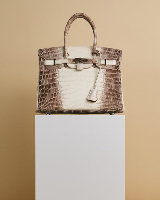 Hermès 101: The Himalaya Birkin