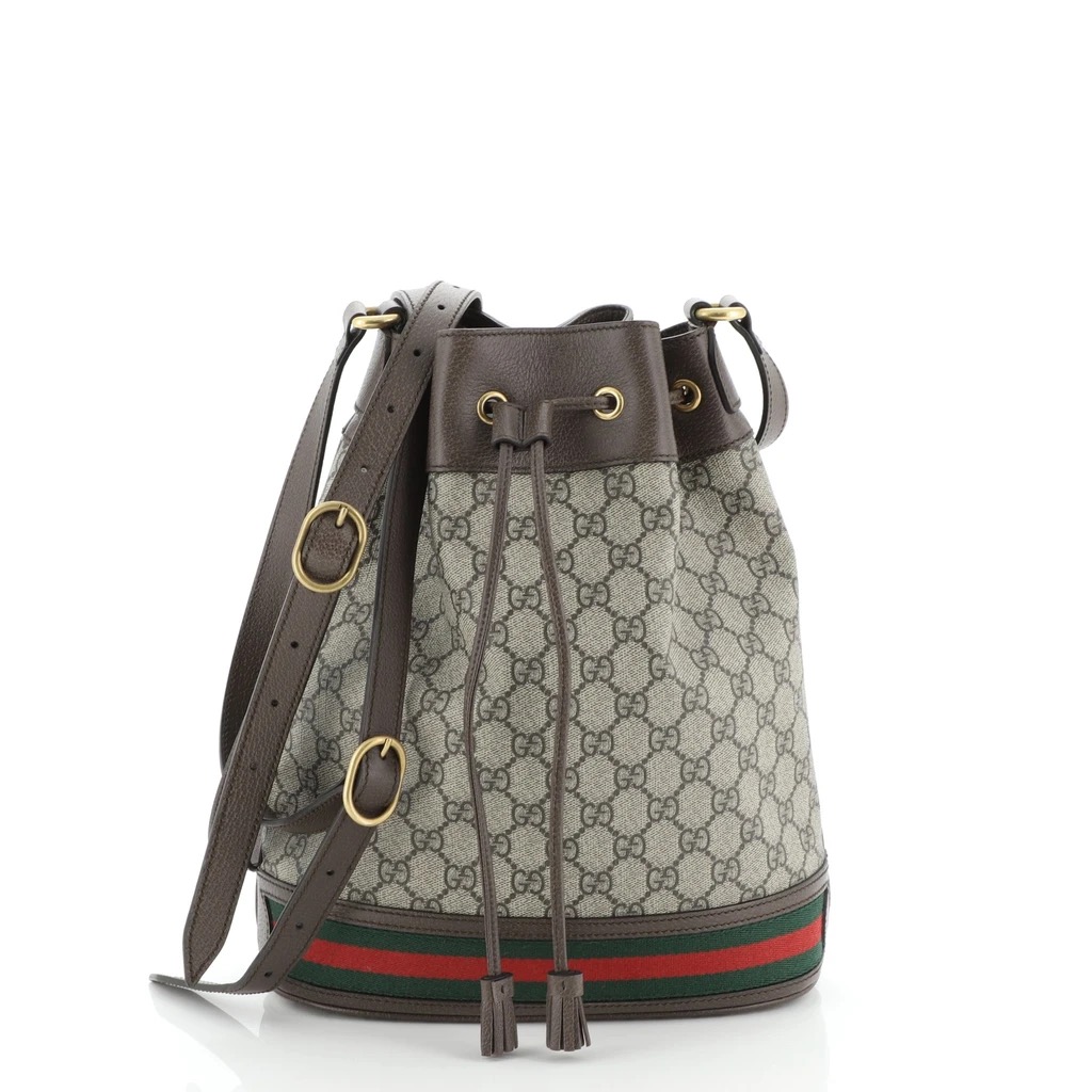 Gucci 101: The Ophidia Collection - The Vault