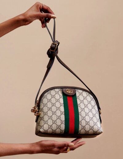 Gucci 101: The Ophidia Collection