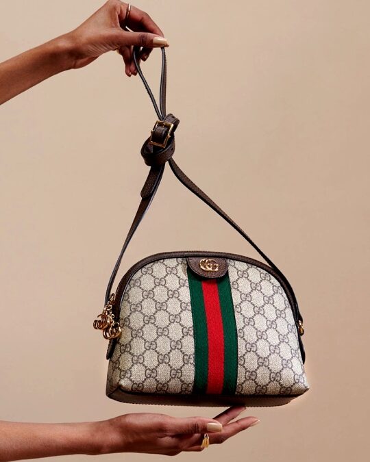 Gucci 101: The Ophidia Collection