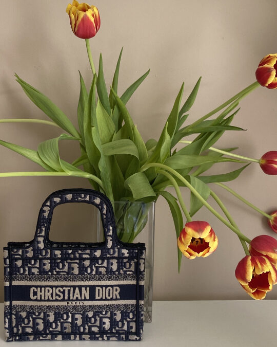 Dior Debuts Small Version of Book Tote Bag