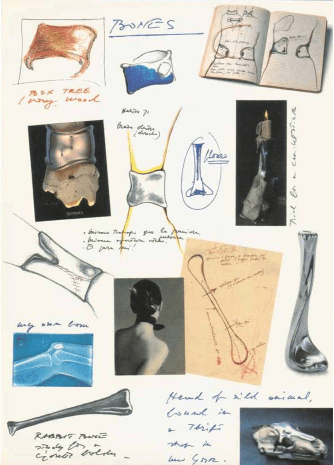  Sketches of bones from Elsa Peretti’s 1990 book ‘Fifteen of My Fifty.’