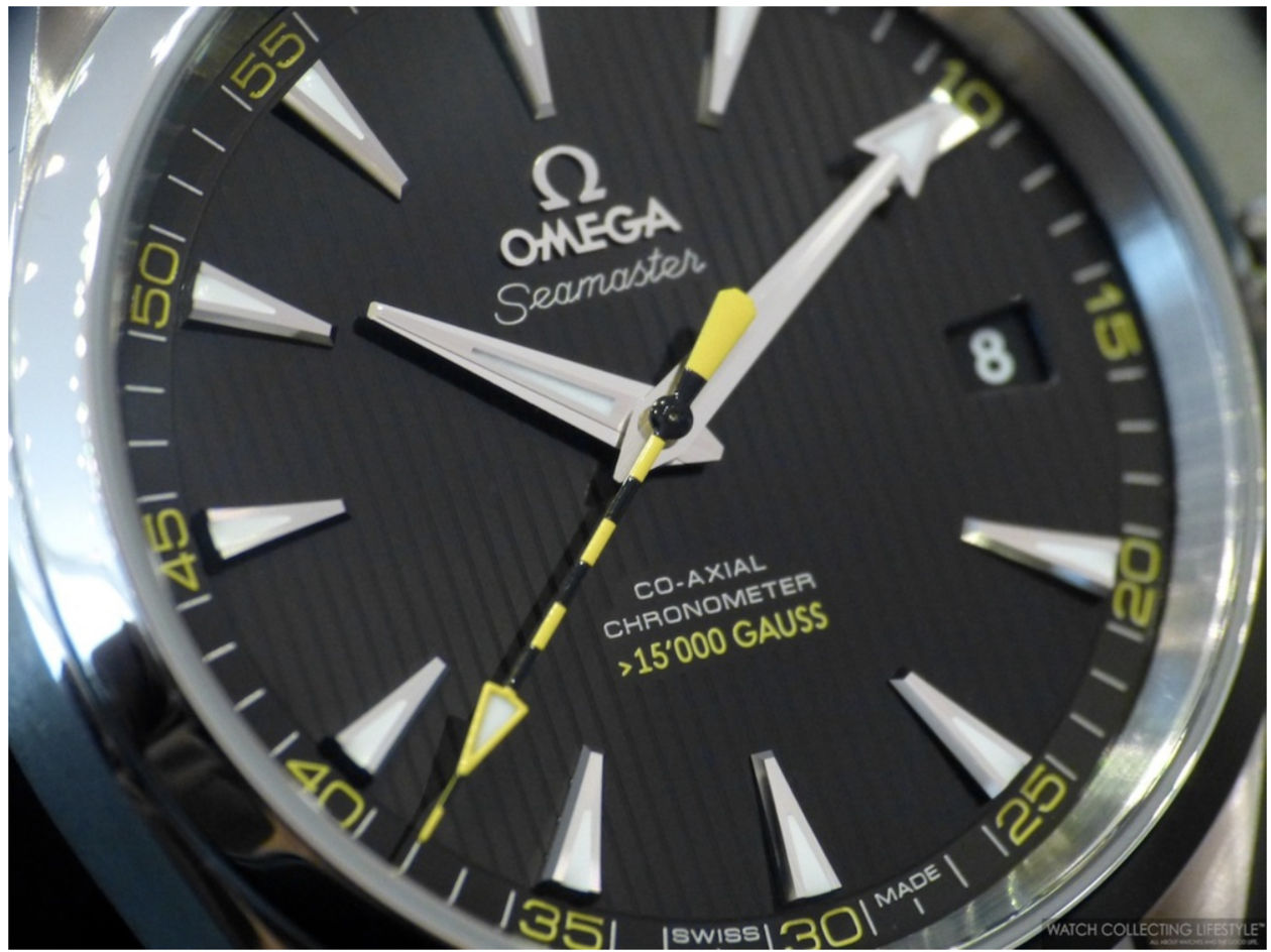 The Omega 231.10.42.21.01.002 watch.