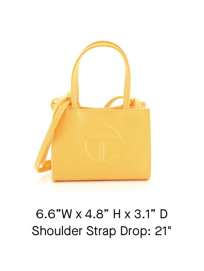 The Telfar Shopping Bag: Sizes, Colors & Notable Collaborations - Academy  by FASHIONPHILE