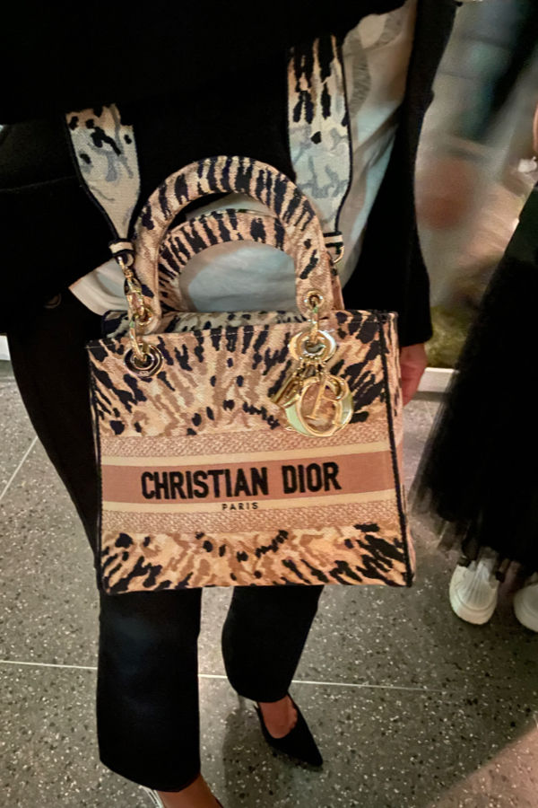Christian Dior x Rebag