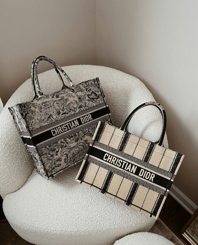 WHICH DIOR BOOK TOTE SIZE IS FOR YOU? - Bags