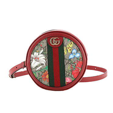 Gucci Ophidia Round Backpack Flora GG