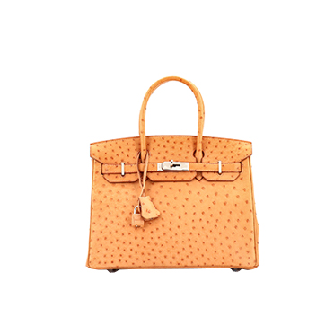 Model VS Model vol.2  Comparison of model between Birkin 40 and