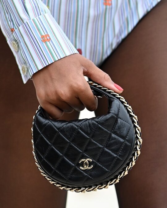 See the Bags of Chanel Cruise 2023