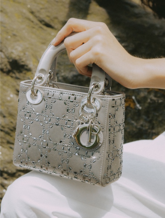 Lady Dior Bag Lady Dior Bag