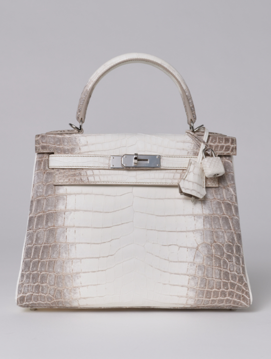 Most Expensive Hermes Bag Ever - Himalayan Croc Birkin