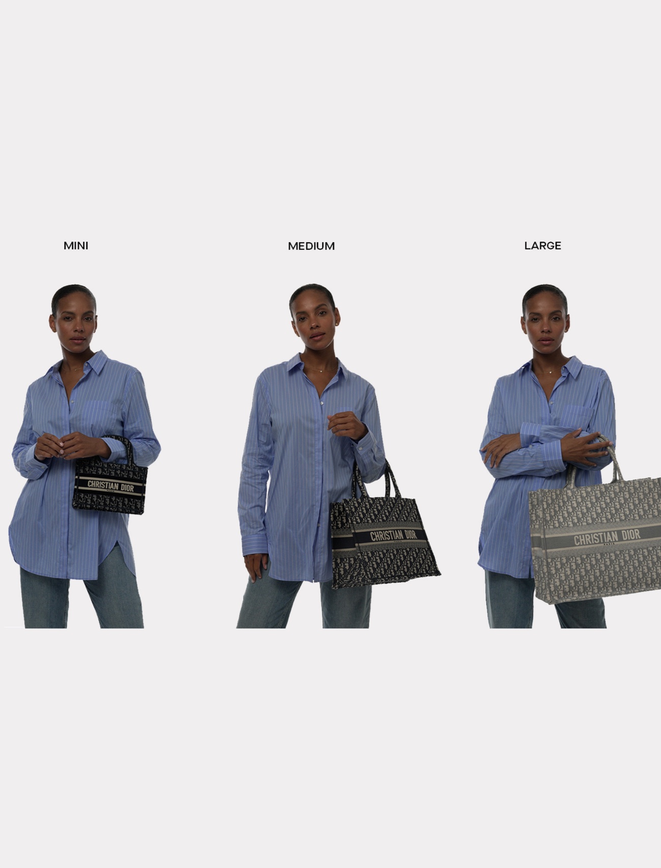 The Dior Book Tote Size Guide - PurseBlog