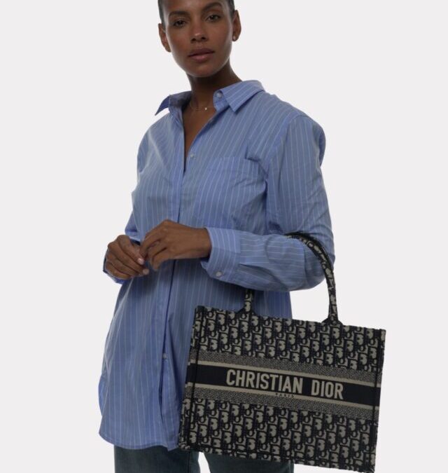The Size Guide: The Dior Book Tote