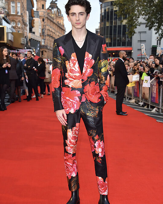 Timothée Chalamet, the Fashion Influencer