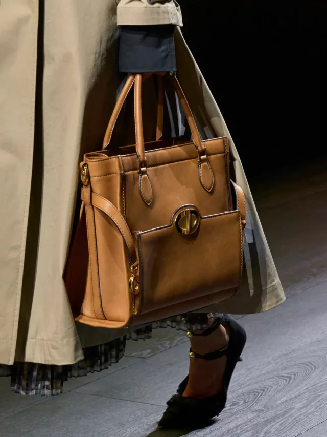 The Best Handbags At Christian Dior Spring 2024 - The Vault