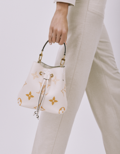 Which Louis Vuitton Handbag is Right For You