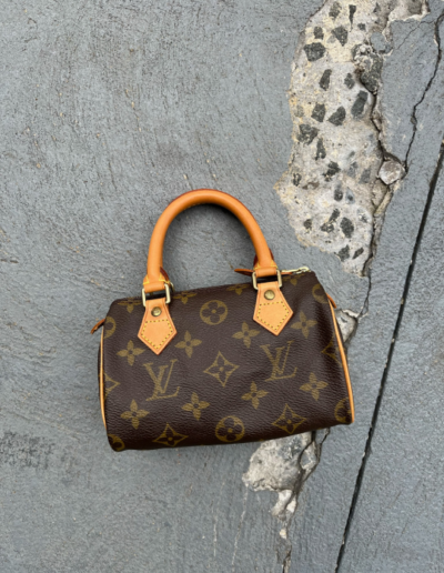 The Louis Vuitton Speedy: A History